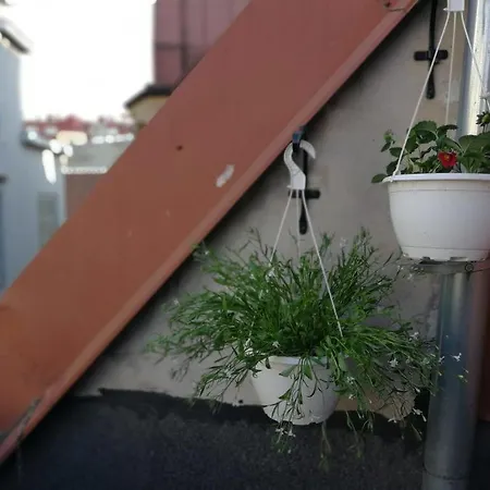 Hostel Katus Tallinn